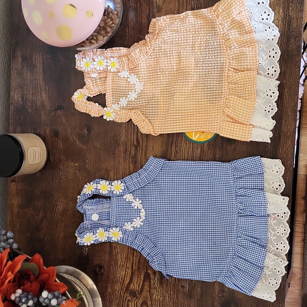 2 PC dress for dog 🐕